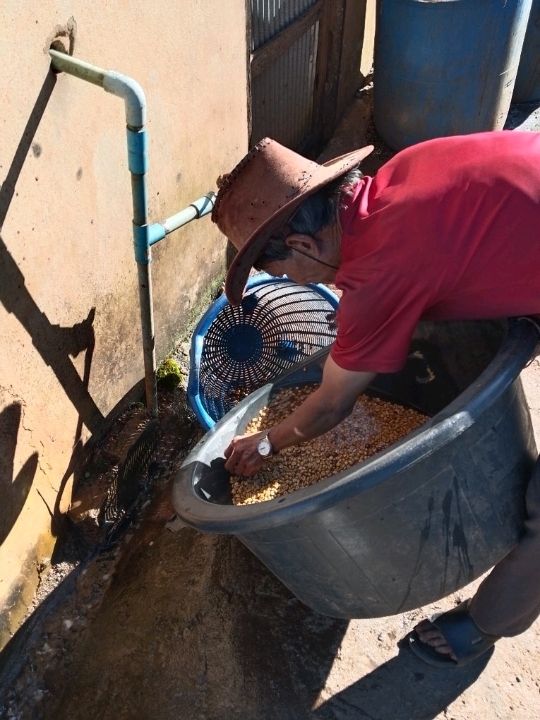 เติมป่าเติมดอยกับผาฮี้ที่เชียงราย