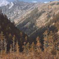 Chengdu > Huanglong > Jiuzhaigou > Chengdu 3 วัน 2