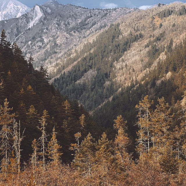 Chengdu > Huanglong > Jiuzhaigou > Chengdu 3 วัน 2