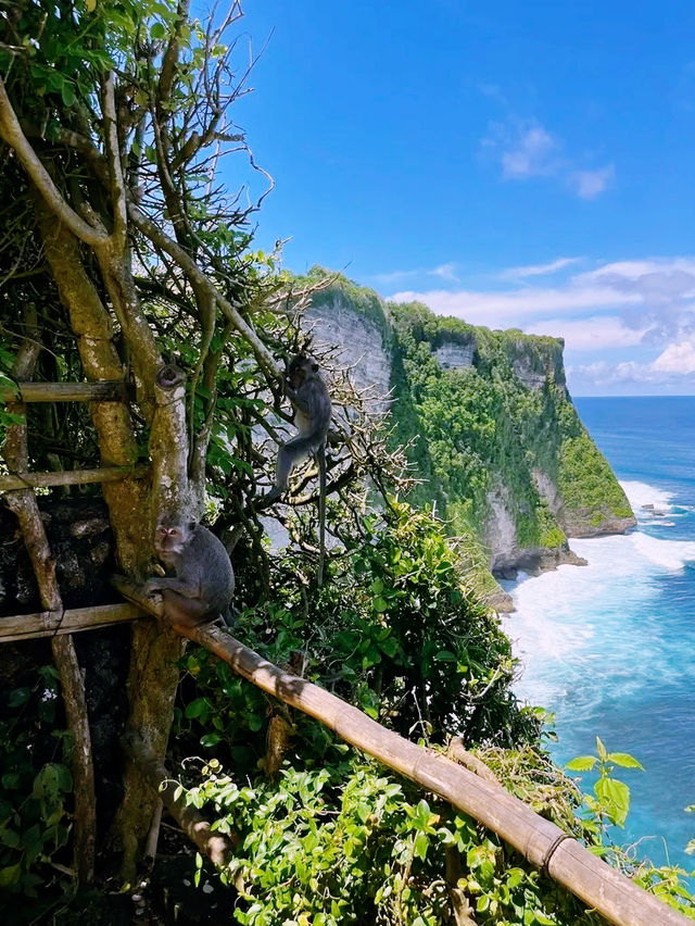 印尼🇮🇩海神廟