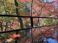 🍁 嵐山深處的秋日詩篇:夢幻祐斎亭遊記