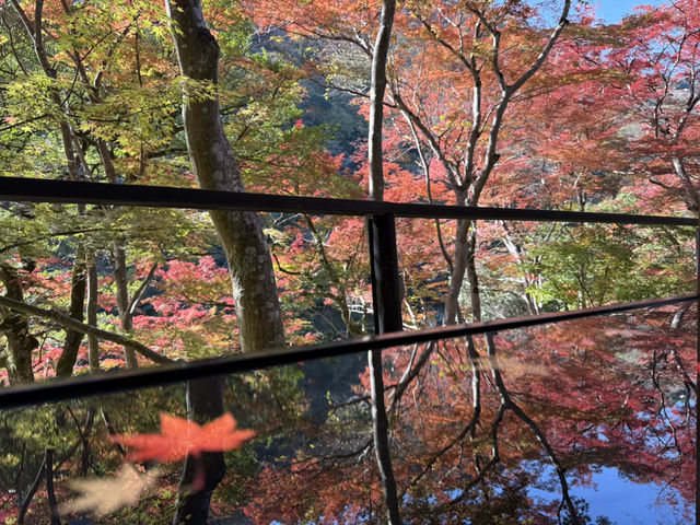 🍁 嵐山深處的秋日詩篇:夢幻祐斎亭遊記 🍁 嵐山深處的秋日詩篇:夢幻祐斎亭遊記