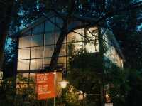 Golden-Hour Catch-Up: Why The Glasshopper Is Perfect for Afternoon Conversations