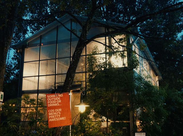 Golden-Hour Catch-Up: Why The Glasshopper Is Perfect for Afternoon Conversations