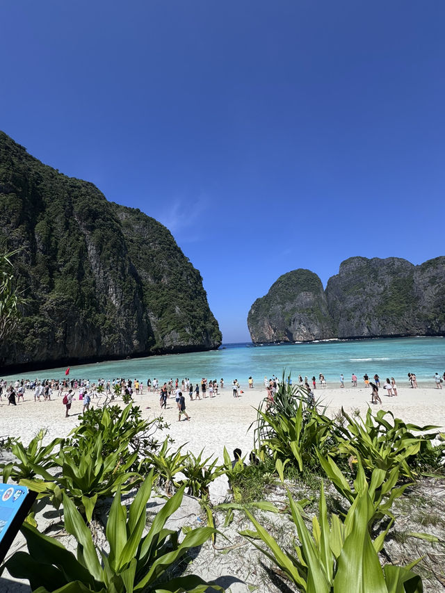 皮皮島、瑪雅灣、猴子島、Khai島:普吉海上四大夢幻景點一次玩到飽 皮皮島、瑪雅灣、猴子島、Khai島:普吉海上四大夢幻景點一次玩到飽