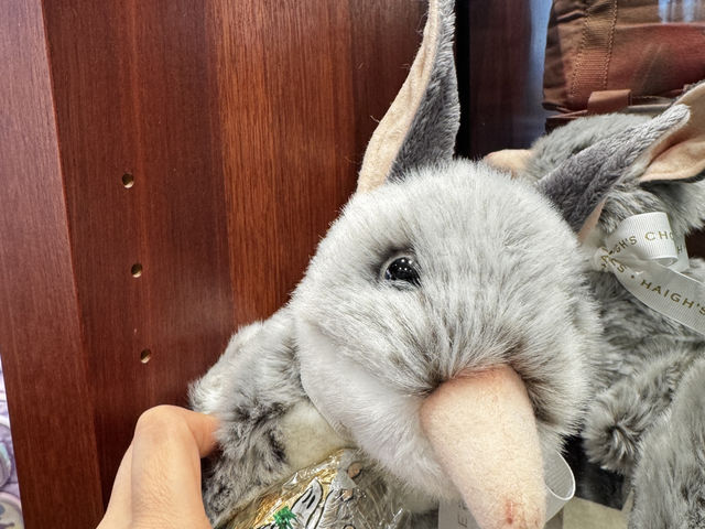 透明袋中的幸福甜點Haigh’s Chocolate攻略🔥 澳洲國民朱古力，入紐西蘭入境規則必看！