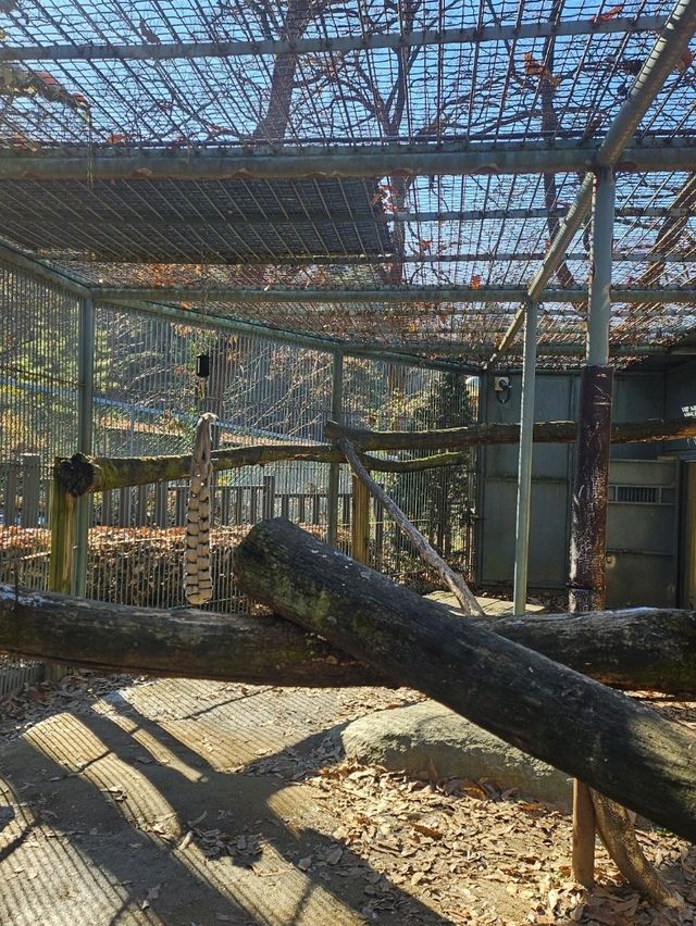 🐯동물들을 사랑하는 동물원 청주랜드동물원 다녀오기🦁 🐯동물들을 사랑하는 동물원 청주랜드동물원 다녀오기🦁