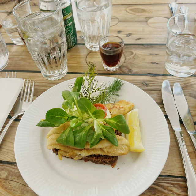 🇩🇰 Restaurant 1733: A Taste of Classic Danish History