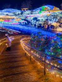 え？四国最大級のイルミネーションがたったの450円？！！まんのう公園のイルミネーション2025