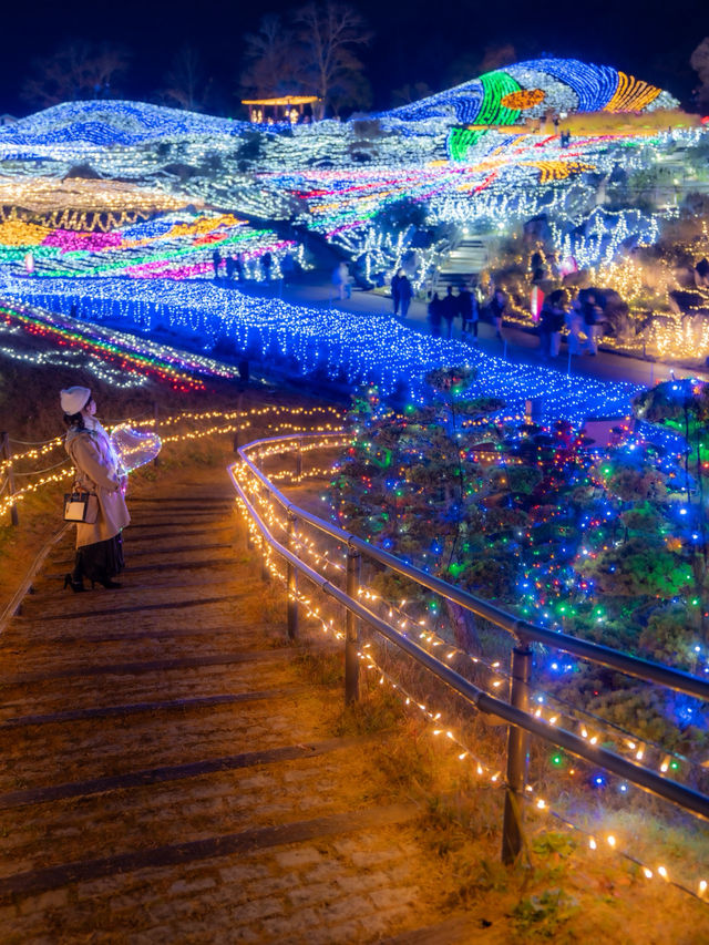 え？四国最大級のイルミネーションがたったの450円？！！まんのう公園のイルミネーション2025