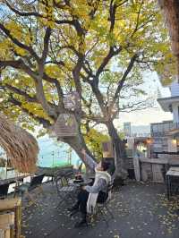 힐링가득 거제도에서 만난 발리감성🤎