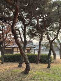 Hanok Village Joy✨