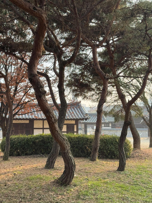 Hanok Village Joy✨ Hanok Village Joy✨