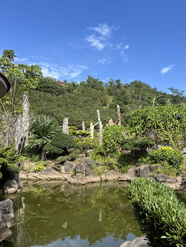 深圳秋日落羽松打卡|仙湖公園浪漫湖邊漫步🌲🍁 深圳秋日落羽松打卡|仙湖公園浪漫湖邊漫步🌲🍁