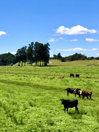 ฝันถึงรถไฟ🚂