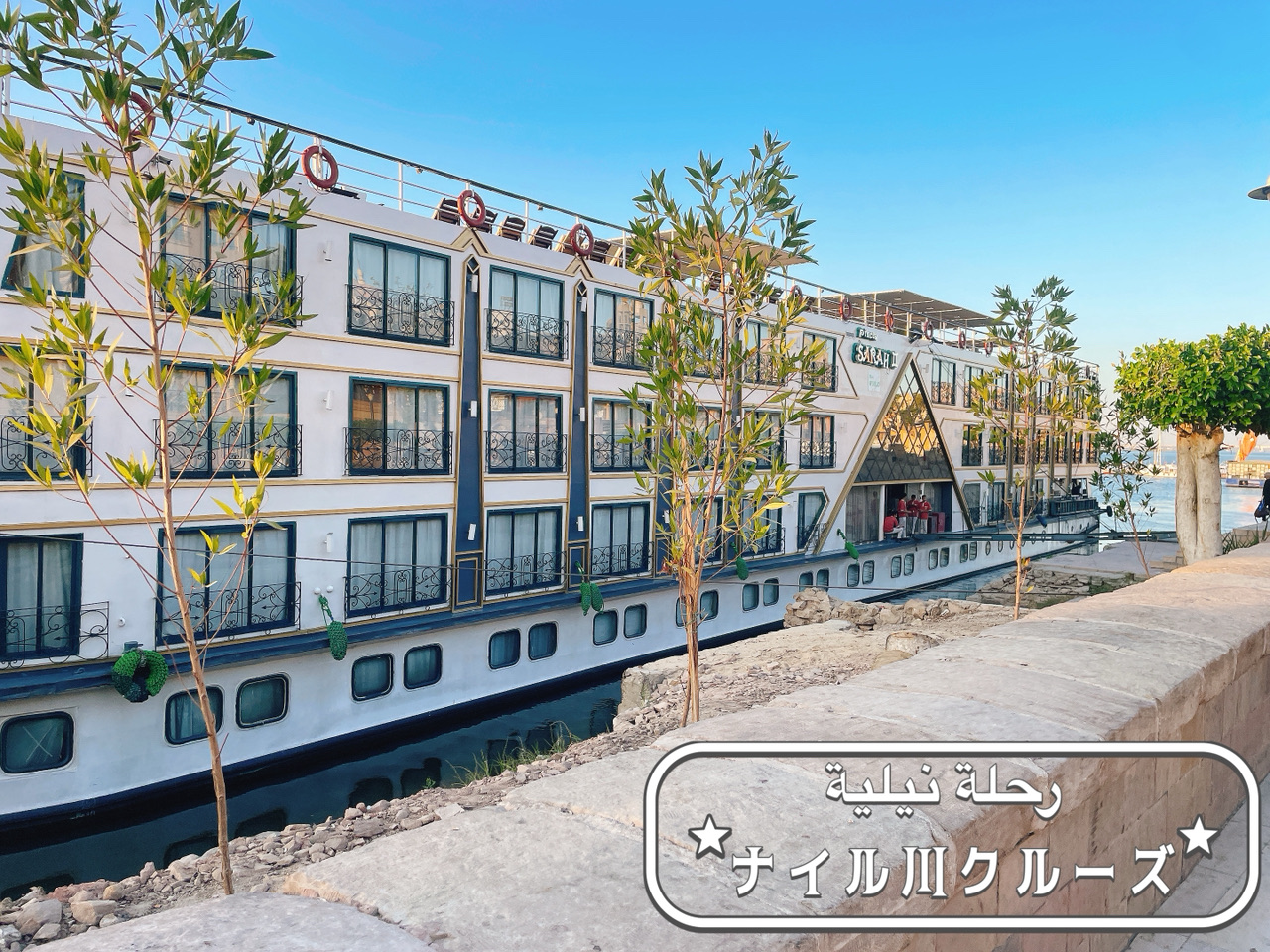 【ナイル川クルーズ🚢】個人もいいけどツアーも良いよ！