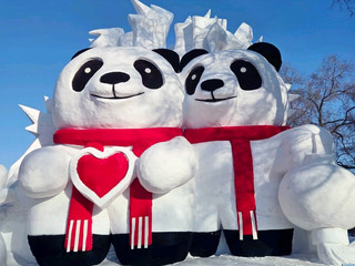 One of the Prettiest Winter Experiences in Harbin ❄️