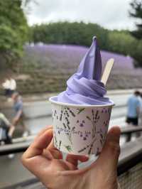 富良野必訪富田農場嘆薰衣草雪糕🍦