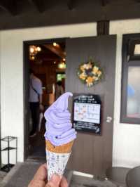 富良野必訪富田農場嘆薰衣草雪糕🍦