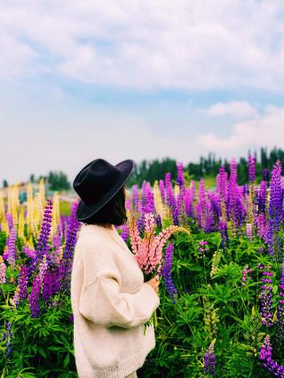 印度克什米爾最佳夏季
