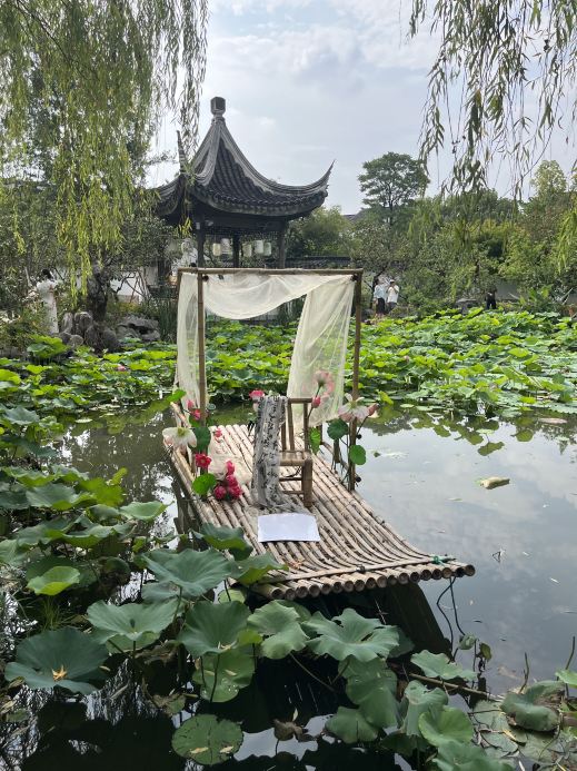 この夏だけの絶景。蘇州の「蓮の花マーケット」へ🌸 | Trip.com 蘇州
