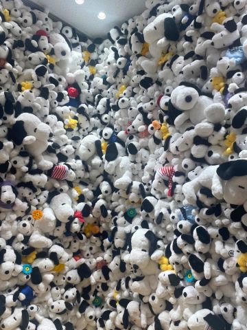 Tokyo, Minami-Machida] Special Feature on the Renewal! The Fluffy