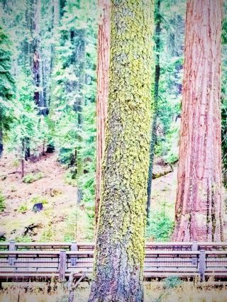 瓦爾德莫薩與懸崖苔蘚修道院景觀：蕭邦的冬季避難所easytravelpost #Valldemossa #M