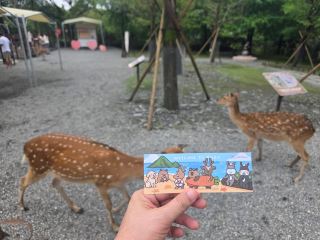 Bambi Land Yilan – A Whimsical Escape into Nature and Animal Encounters 🦌🌿