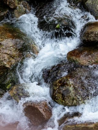 🌸 Mount Lushan | When the Waterfall Brings Spring Back