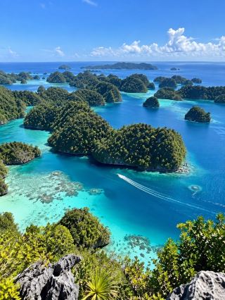 🌊 Palau, a Pacific paradise that every sea lover must visit at least once! 🇵🇼