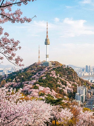 🇰🇷✨ SOUTH KOREA — A DREAM DESTINATION THAT CAPTURES EVERY HEART 🌸💖
Discover the enchanting beauty of South Korea, where ancient traditions blend beautifully with modern lifestyles, breathtaking landscapes, vibrant city lights, and unforgettable cultural experiences.
🌸 Seoul — The City of Endless Wonders
Explore the magnificent Gyeongbokgung Palace, admire the panoramic views from N Seoul Tower, wander through the charming streets of Bukchon Hanok Village, and experience the dazzling nightlife of Myeongdong.
🌊 Jeju Island — Nature’s Hidden Paradise
Marvel at crystal-clear waters, dramatic volcanic landscapes, lush green scenery, and peaceful coastal views that make Jeju Island a true natural masterpiece.
🌉 Busan — Where the Ocean Meets the City
Enjoy the golden beaches of Haeundae, discover the colourful streets of Gamcheon Culture Village, and admire the sparkling city skyline after sunset.
🌸 A Season of Magic
From dreamy cherry blossoms in spring to golden autumn leaves, South Korea offers picture-perfect scenery and unforgettable memories in every season.
🍜 Taste the Flavours of Korea
Indulge in delicious Korean BBQ, savour authentic kimchi, explore vibrant street-food markets, and experience the culinary culture that has captured hearts around the world.
🎬 From K-drama-inspired destinations and K-pop culture to historic palaces and spectacular natural beauty, South Korea is more than just a destination — it is an experience filled with romance, adventure, culture, and wonder.
✨ Come for the beauty, stay for the memories, and leave with a heart full of Korea. 🇰🇷❤️
📍 South Korea — Where Every Journey Becomes a Beautiful Story.
#SouthKorea #VisitKorea #DiscoverKorea #Seoul #JejuIsland #Busan #KoreaTravel #TravelTheWorld #ExploreMore #travel2026 #mytraveldiary #travel