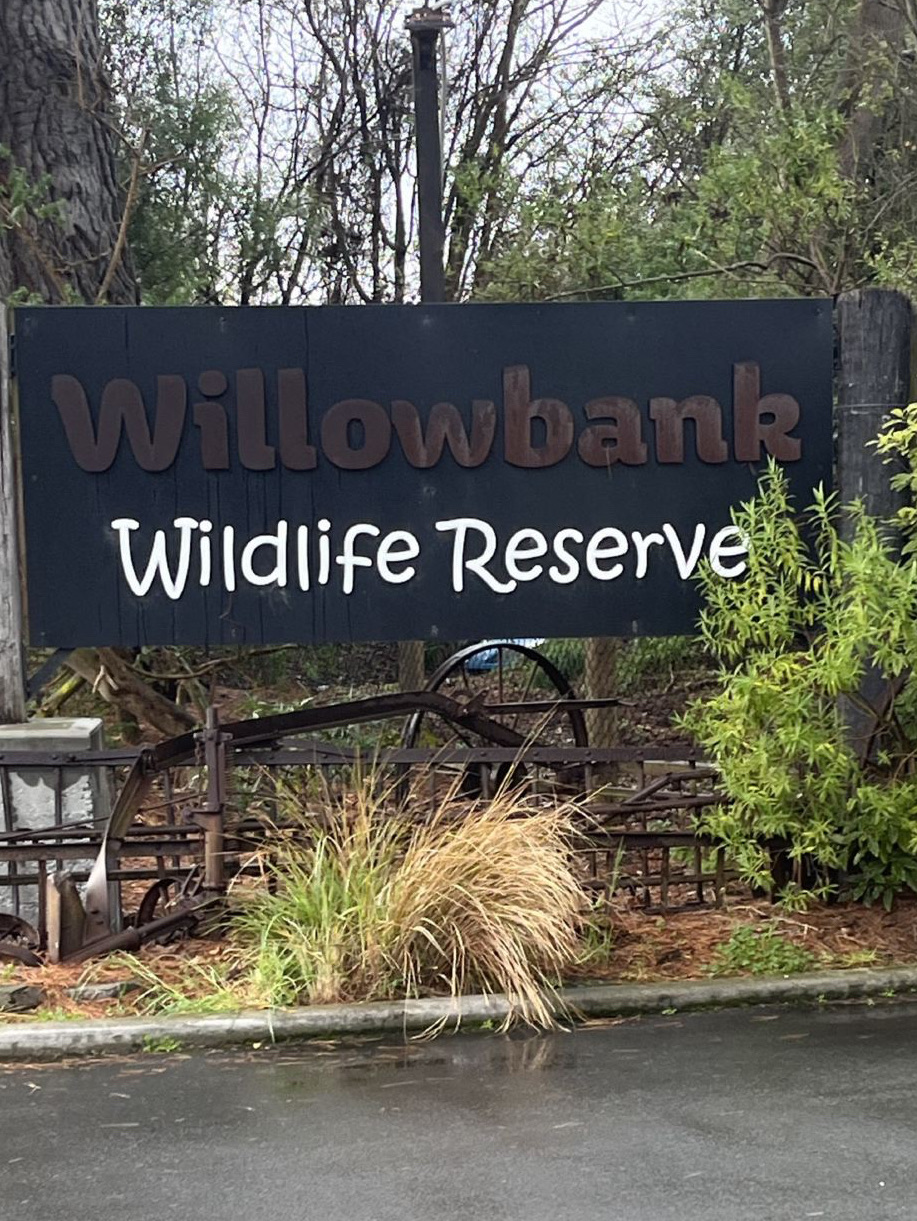 Wild Encounters at Willowbank Wildlife Reserve 🦘🐦