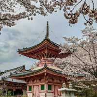 治愈神殿