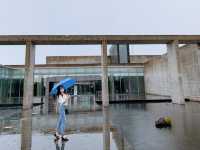 ☔️우기 시즌에 가는 제주도 실내 여행 스팟
