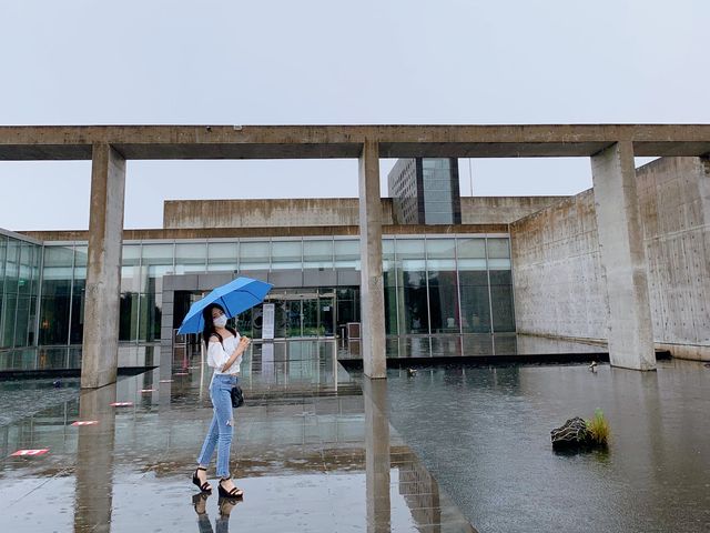 ☔️우기 시즌에 가는 제주도 실내 여행 스팟