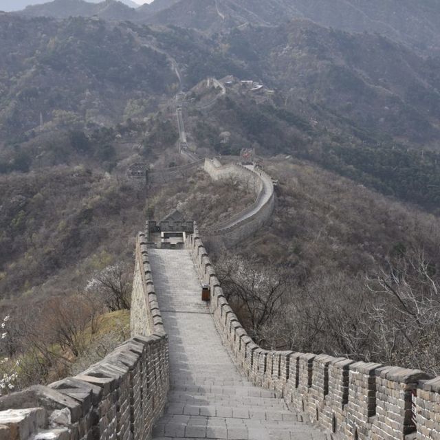 The Great Wall  The Great Wall