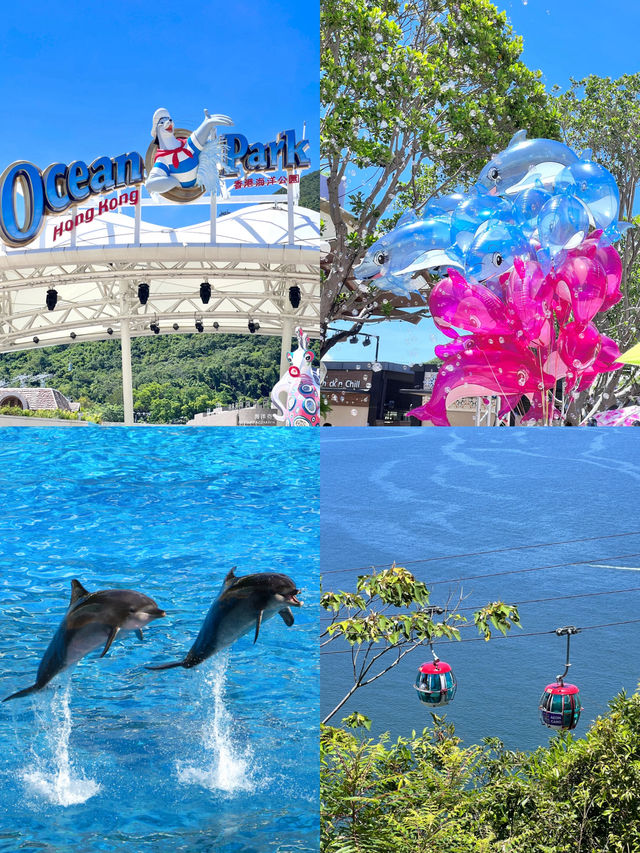 比港迪還好玩的🐬香港海洋公園買一送一啦‼️ 