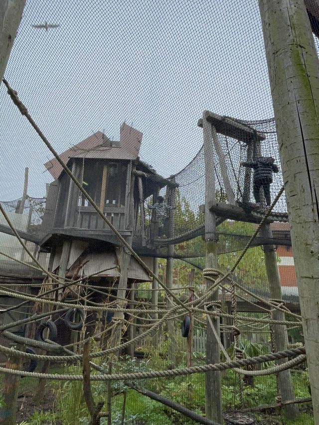 英國野生動物園酒店