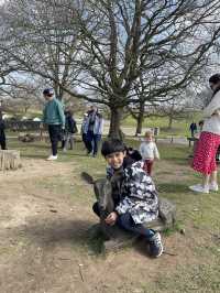 英國賞鹿公園 ｜諾爾莊園