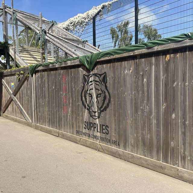 Chessington World of Adventures Resort
