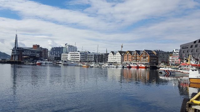 Arctic Majesty in Tromsø 🇳🇴❄️