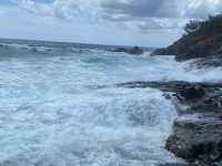 Noosa National Park 🌴