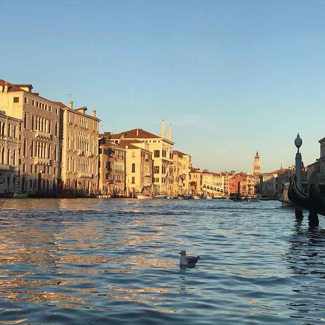 Roaming the Enchanting Streets of Venice