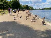 Hyde Park: London's Verdant Heart 🌳🚣‍♂️ 