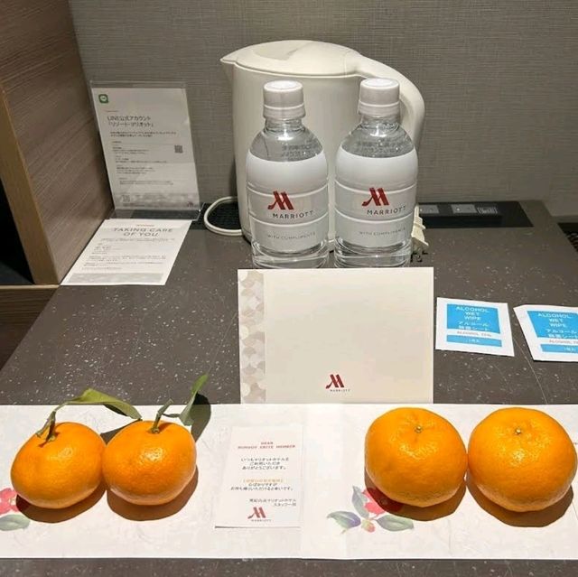 🌸南紀白濱萬豪酒店♨️露天溫泉俯瞰超美海景