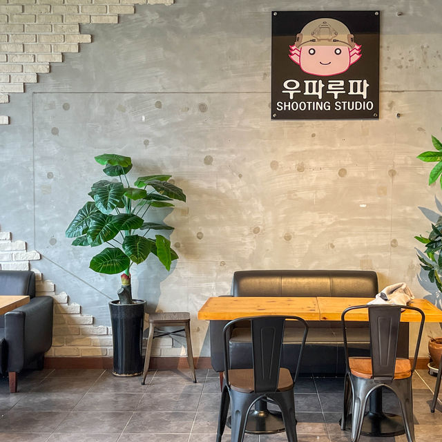 전주놀거리 장마철 전주실내데이트 전북대 사격카페 : 우파루파