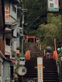 Nara Japan 🇯🇵 