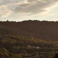 Got lost on Route des Carles and discovered a breathtaking vineyard at golden hour—pure magic!