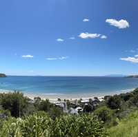 Waiheke island winery tour