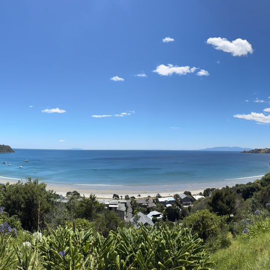 Waiheke island winery tour